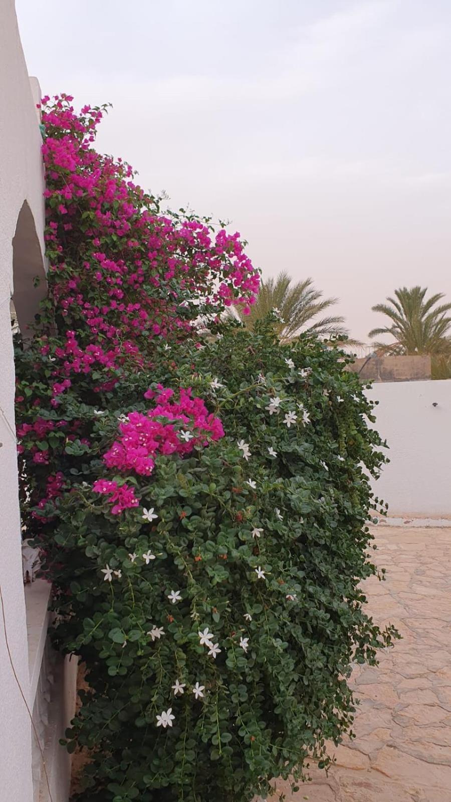 Residence Nour Douz Buitenkant foto